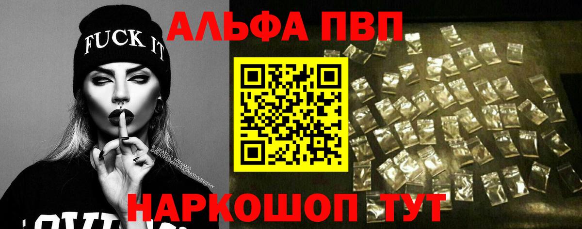 Альфа ПВП СК Кузнецк